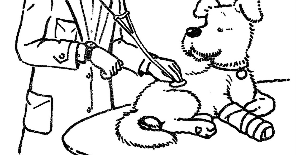 Coloring Pages For Veterinarian - Best Coloring Pages Collections